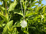 Scottish Bonfire Sea Glass Pendant with Sand and Ash Inside