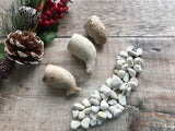 Advent Calendar - Sea Glass Mudlarking Treasures