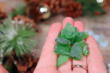 Sea Glass Advent Calendar 24 Days - 2 Pieces of Jewellery & Mudlarking Treasures
