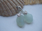 Lion Lever Back Earrings - Opalescent sea glass