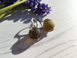 Amber Sea Glass Marble Earrings - Leverback Sterling